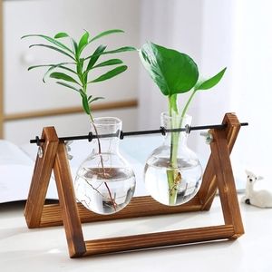 Plant Terrarium with Wood Shelf